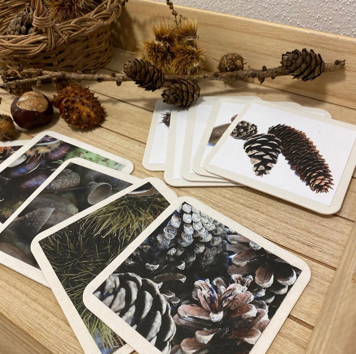 Materialpaket: Herbst Naturmaterial