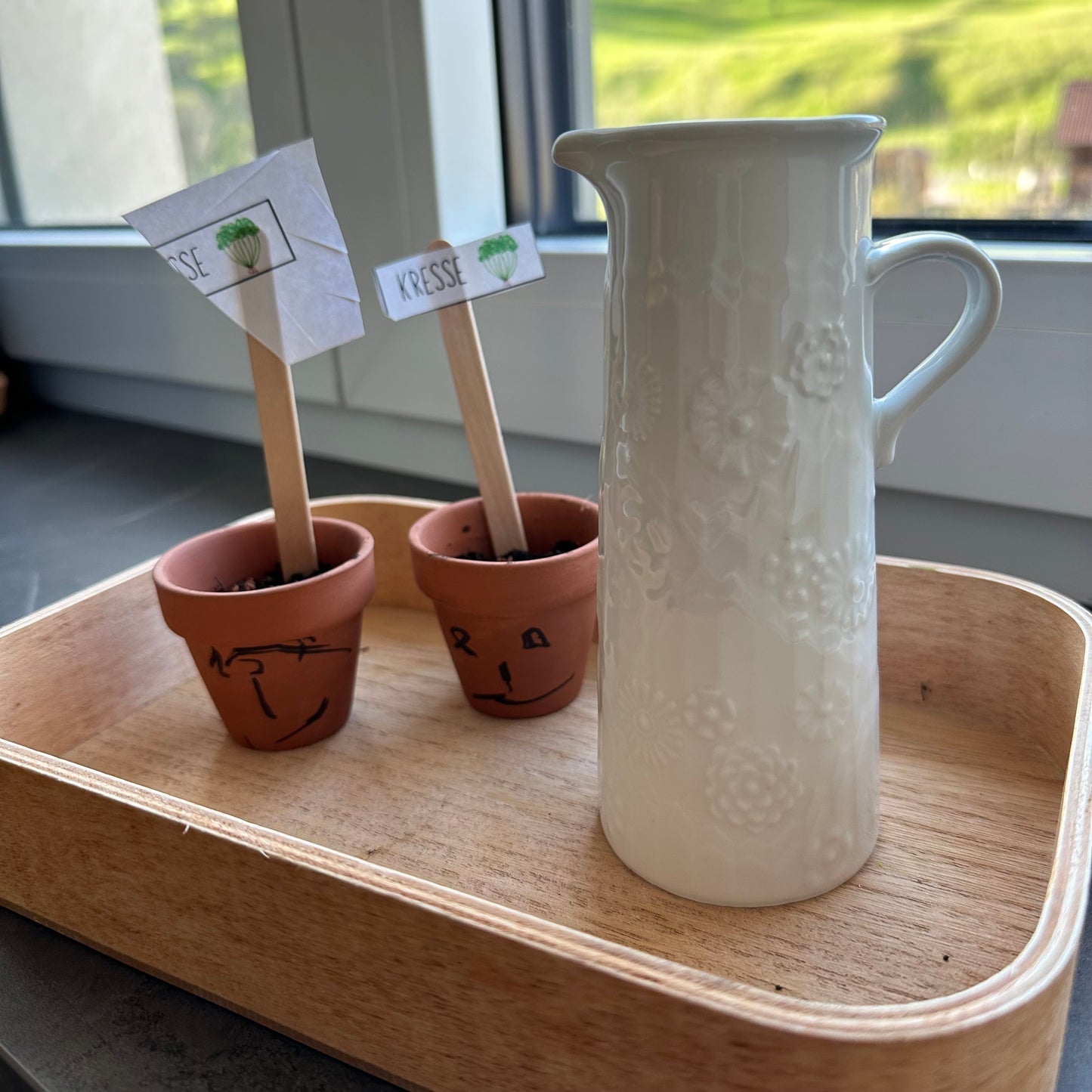 Materialpaket: Kresse pflanzen (Komplett-Set) - verschiedene Varianten