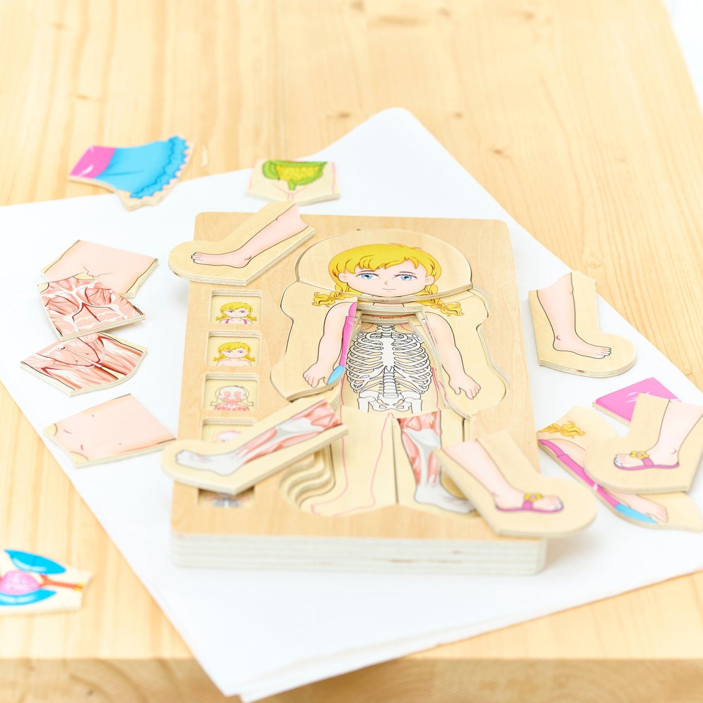 Materialpaket: Körper-Puzzle mit Spiel- und Umsetzungsideen - verschiedene Varianten