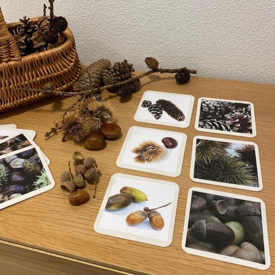 Materialpaket: Herbst Naturmaterial