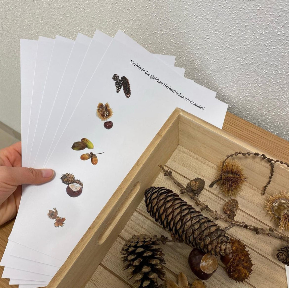 Materialpaket: Herbst Naturmaterial