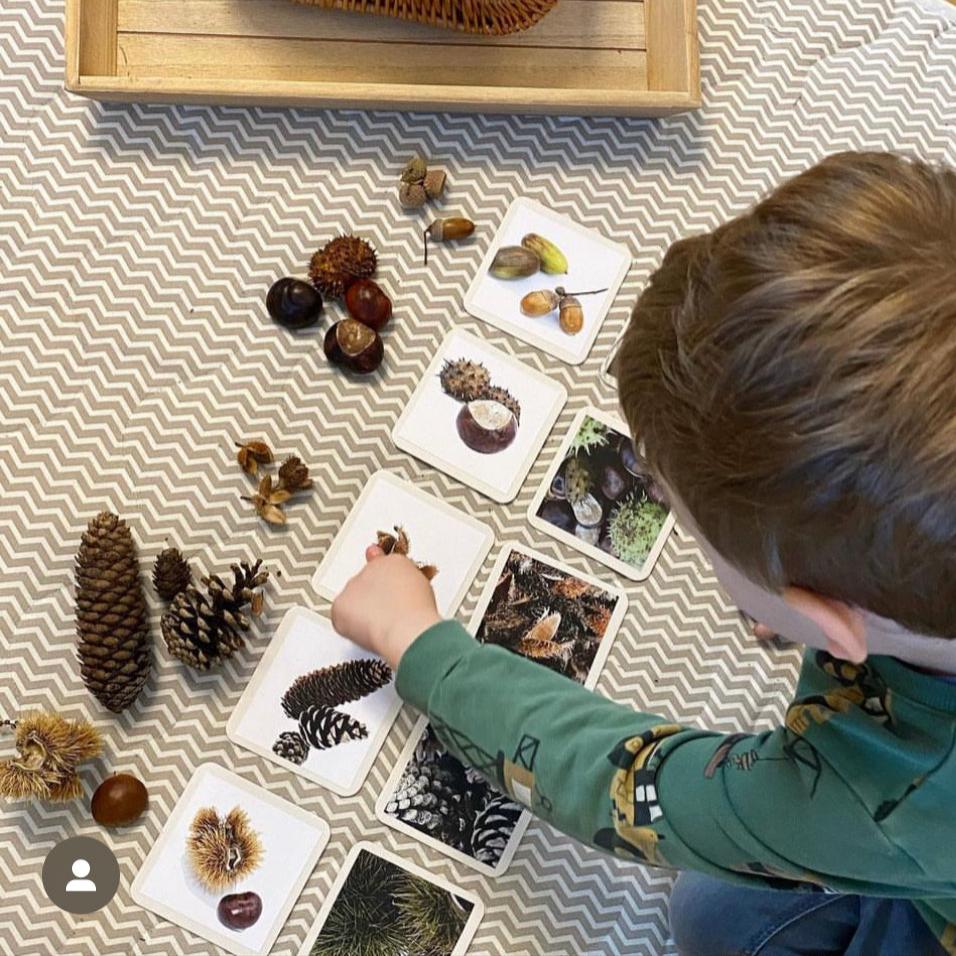 Materialpaket: Herbst Naturmaterial