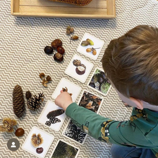 Materialpaket: Herbst Naturmaterial