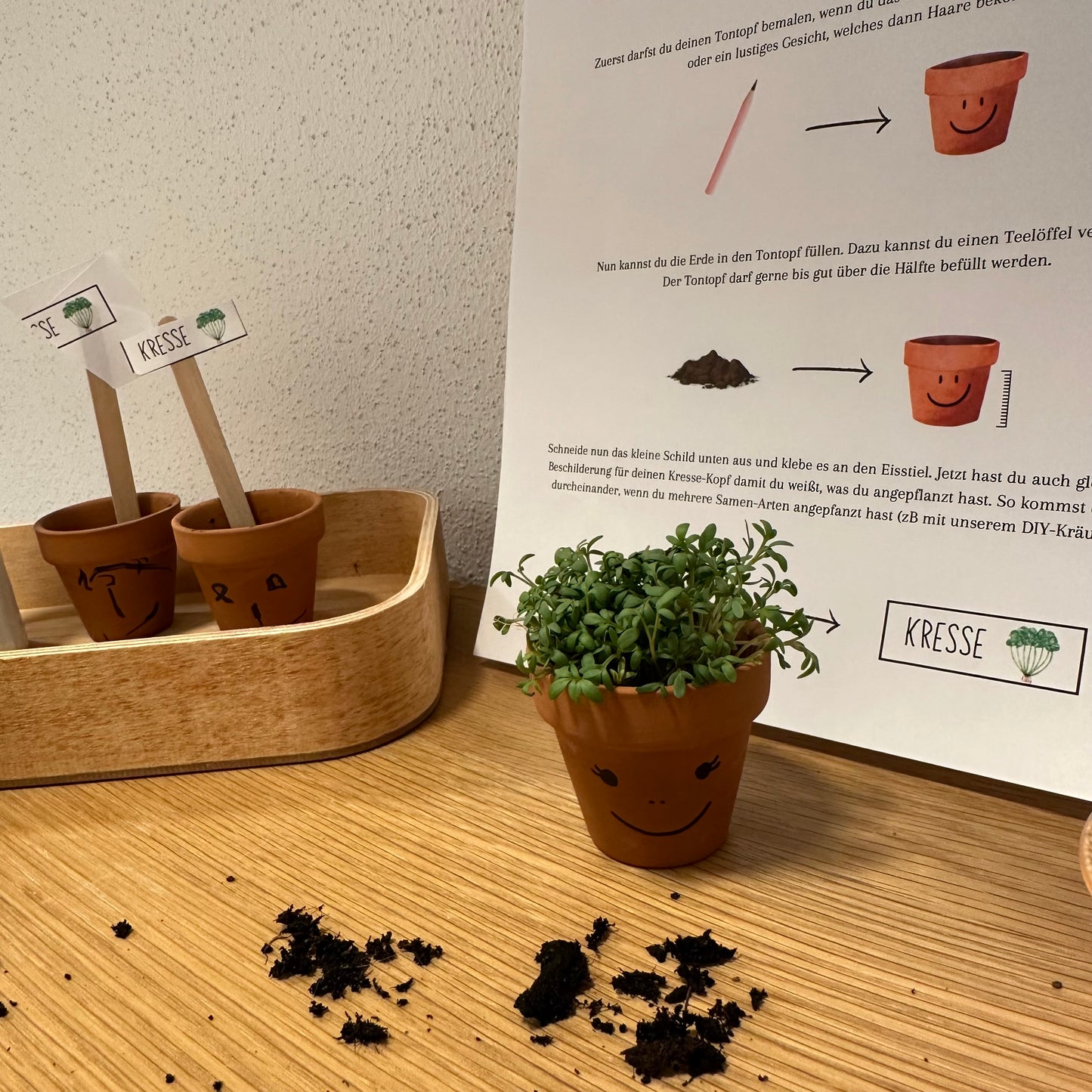 Materialpaket: Kresse pflanzen (Komplett-Set) - verschiedene Varianten