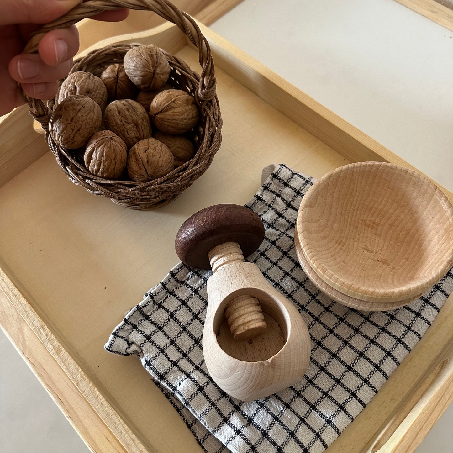 Materialpaket: Nüsse knacken