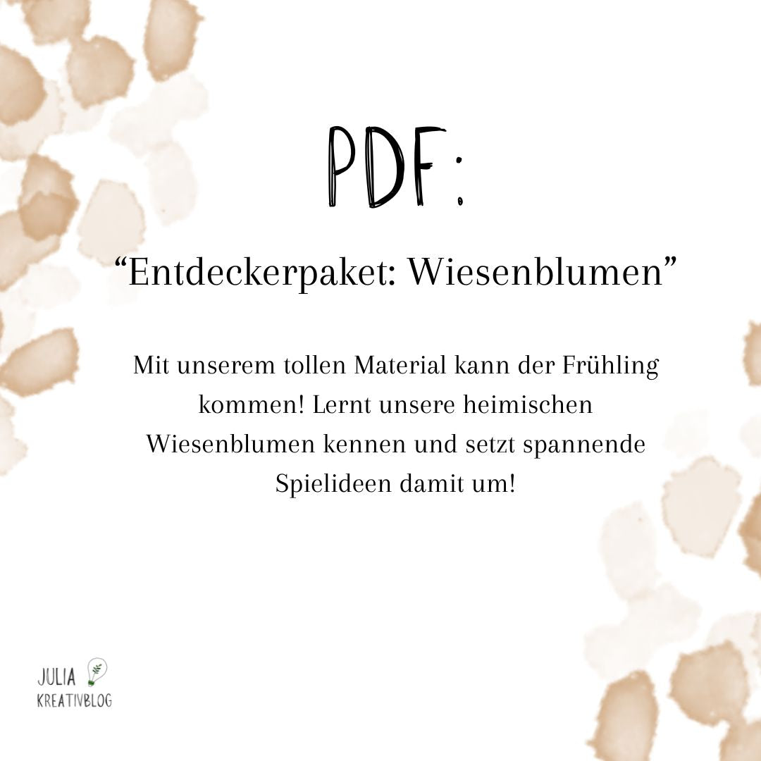 PDF: Entdeckermaterial Wiesenblumen