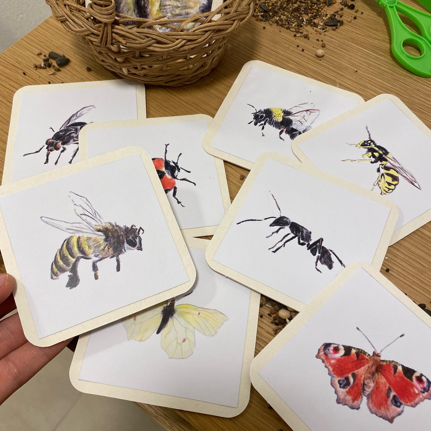 PDF: "große PDF rund um die Insekten"