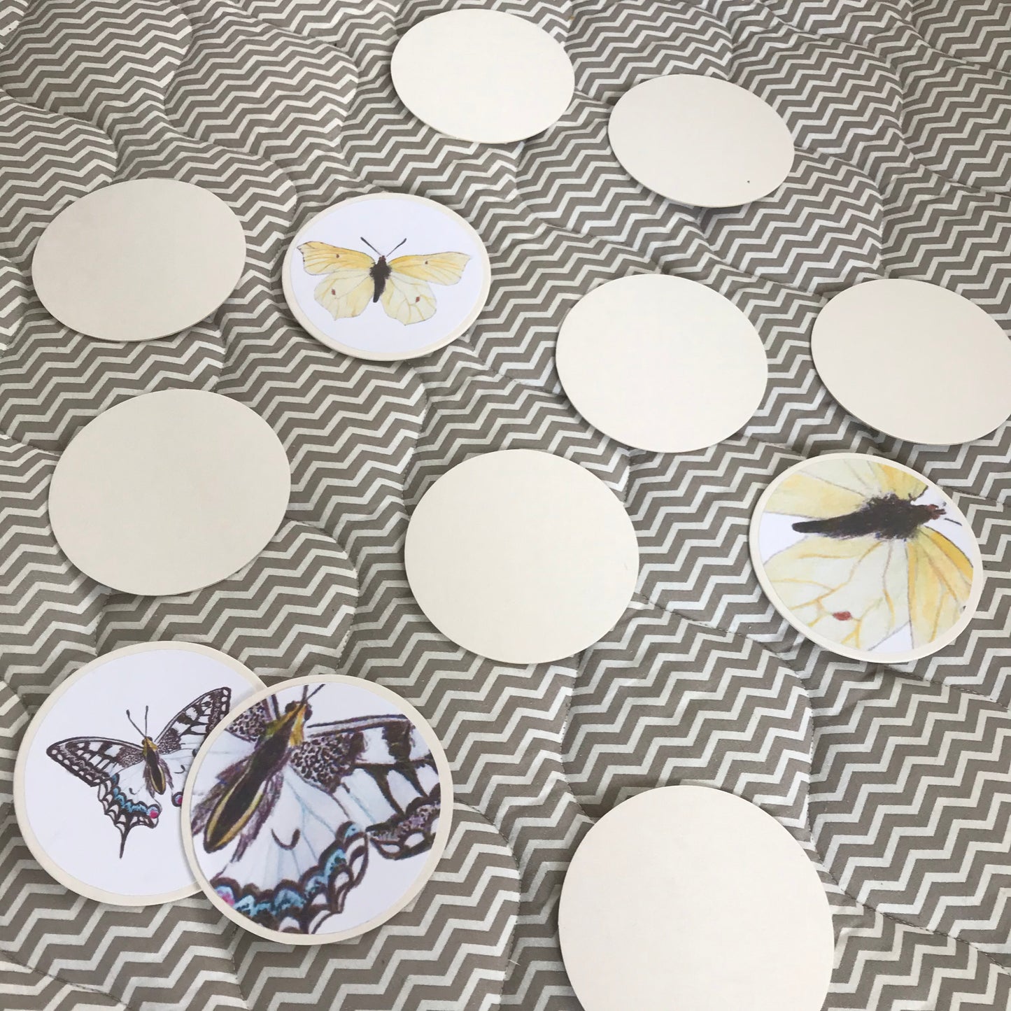 PDF: heimische Schmetterlinge