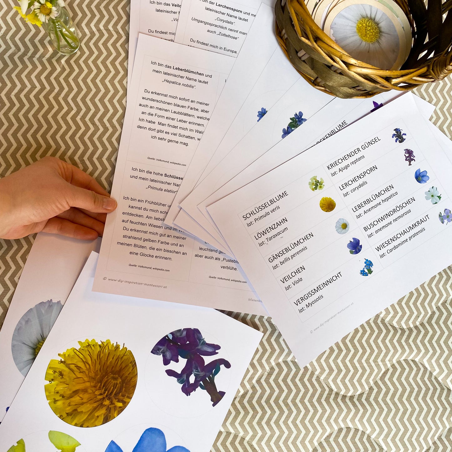 Materialpaket: Frühlingsblumen - verschiedene Varianten