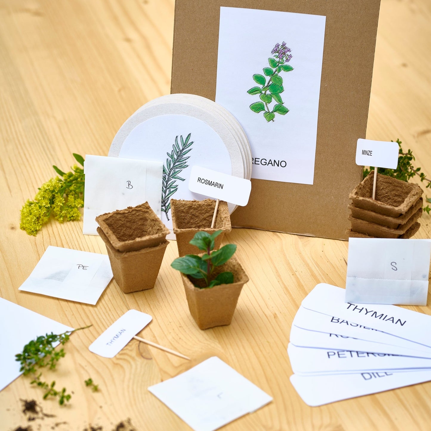 Kräuter - Spiel- und Lernpaket rund um das Thema "Kräuter" - großes Materialpaket inkl Saatgut