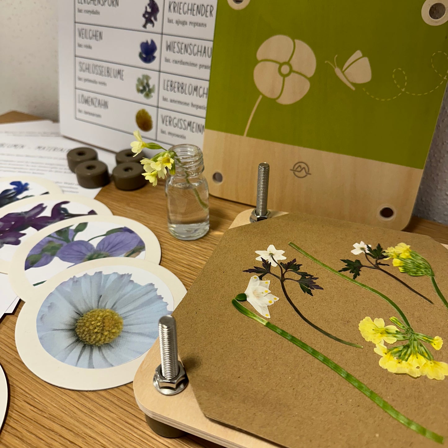 Materialpaket: Wiesenblumen - verschiedene Varianten