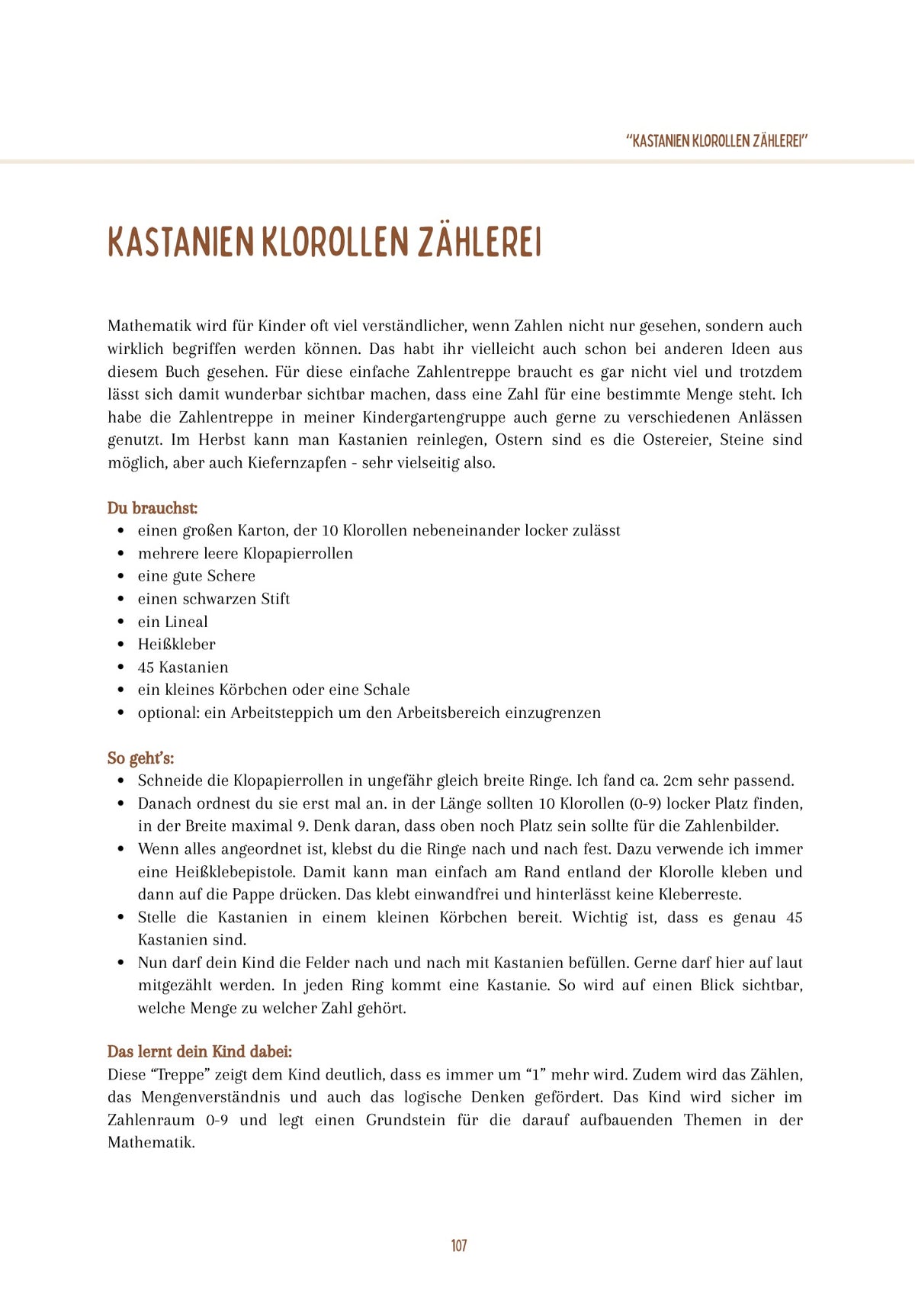 Mein Buch:  "Kastanienfieber - über 40 Ideen mit Kastanien“