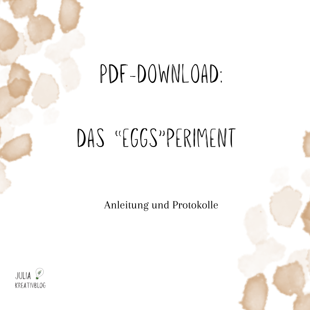 PDF: Das EGGsperiment (Anleitung und Protokolle aus dem Workbook 2/2026)