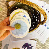 PDF: Wiesenblumen im Frühling