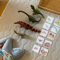 Dinosaurier - kunterbuntes Paket für alle Dinofans