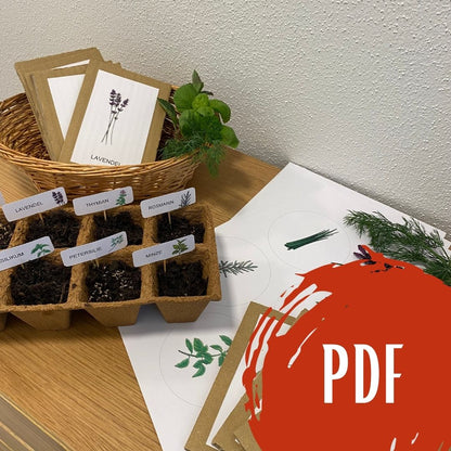 PDF: rund um unsere Kräuter